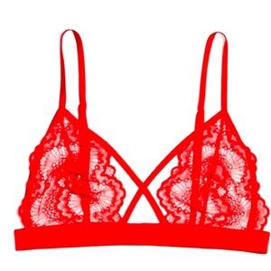 NWT Hand Crafted Luxury Bralette Blush Lingerie